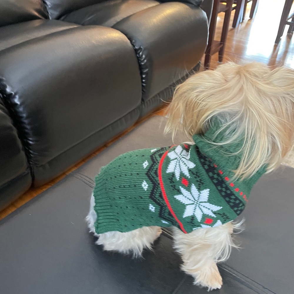 CHRISTMAS PET SWEATER NWOT